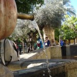 ???????????????????????????????